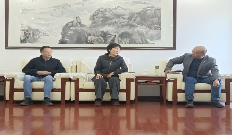 图片5 图片5