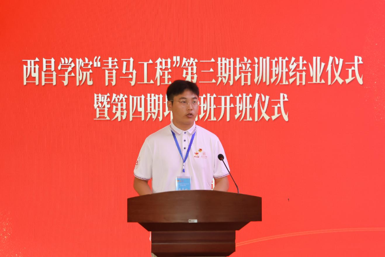 图片8